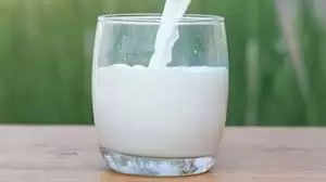 Health Tips: गाय के दूध की तरह भैंस का दूध भी है सेहत के लिए अमृत के समान ,यहां जाने इसके फायदे