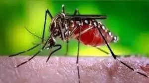 Health Tips : बच्चो के लिए क्यों खतरनाक माना जाता है डेंगू ,यहां जाने इसके कारण