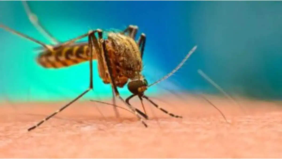 Health Tips- देश में लगातार बढ़ रहा हैं डेंगू-मलेरिया, जानिए दोनों में अंतर