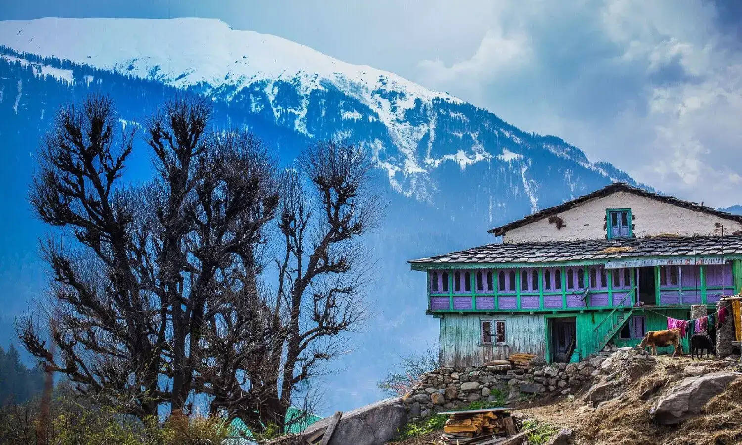 हिमाचल प्रदेश, जिसे भारत का मुकुट रत्न कहा जाता है, हिमालय की गोद में बसे अपनी लुभावनी सुंदरता के लिए दुनिया भर में प्रसिद्ध है। इसके कई रत्नों में से, हाटकोटी एक ऐसे राज्य के रूप में सामने आता है जो घरेलू और अंतर्राष्ट्रीय दोनों यात्रियों के दिलों पर कब्जा कर लेता है। प्रतिदिन, बहुत से उत्साही लोग हिमाचल प्रदेश की मनमोहक घाटियों, विशेष रूप से हाटकोटी की यात्रा पर निकलते हैं।
