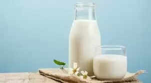 Food Tips- यहां से जानिए की आप मिलावटी दूध की घर पर ही कैसे प्रशिक्षण कर सकते हैं