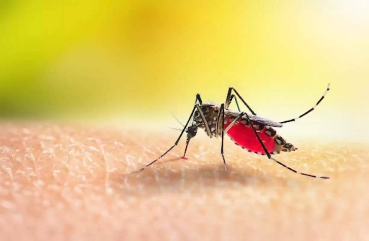 देश भर के कई राज्यों में डेंगू के मामले बढ़ रहे हैं, जिसके परिणामस्वरूप लोगों की दुखद क्षति हो रही है। यह चिंताजनक प्रवृत्ति सभी आयु वर्ग के व्यक्तियों को प्रभावित कर रही हैँ। अस्पतालों में डेंगू से संक्रमित मरीजों की संख्या में तेजी से वृद्धि देखी जा रही है, कई लोगों के प्लेटलेट स्तर में उल्लेखनीय गिरावट देखी जा रही है। लगातार बारिश से डेंगू का खतरा बढ़ जाता है, जिससे डेंगू के मच्छरों के लिए अनुकूल प्रजनन स्थल बन जाते हैं,  लेकिन क्या आपको पता है ये डेंगू मच्छर आपके घर के फ्रिज में पनप सकते हैं और 6 महीन तक जिंदा रह सकते हैं।
